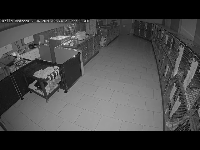 DogMode: Small Dogs Bedroom