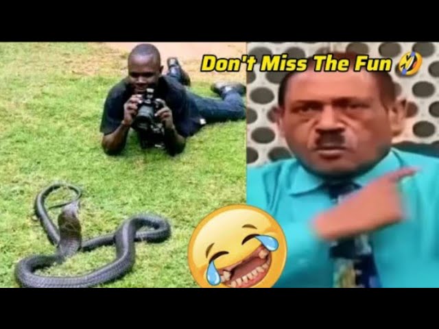 “So Funny, You’ll Forget What You Were Doing!”| Part 36
