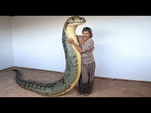 150 Deadly Creatures You Should Never Mess With