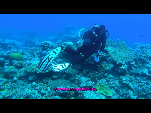 Complete Guide to Automating File Downloads with Scripts