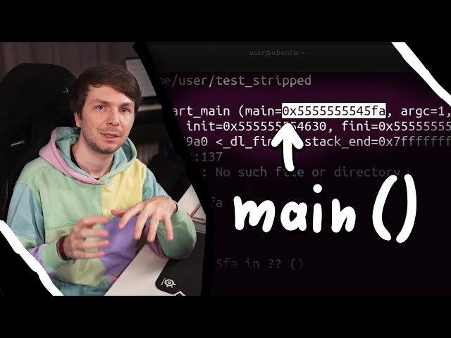 Finding main() in Stripped Binary - bin 0x2C