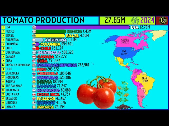TOP 20 TOMATO PRODUCERS IN THE AMERICAS (BY COUNTRY)