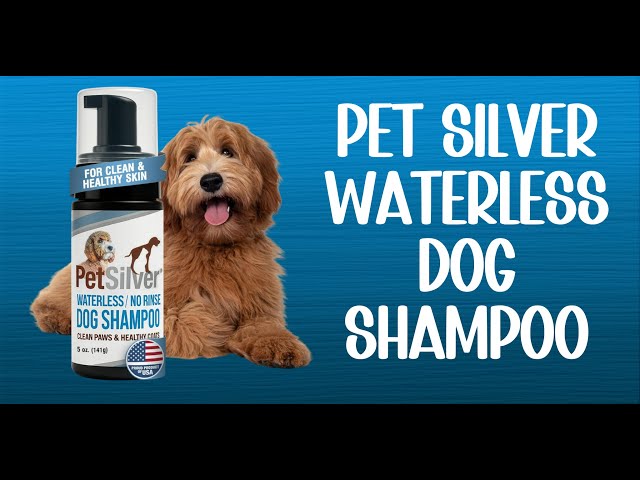 Would I actually use this waterless dog shampoo opn my dogs?