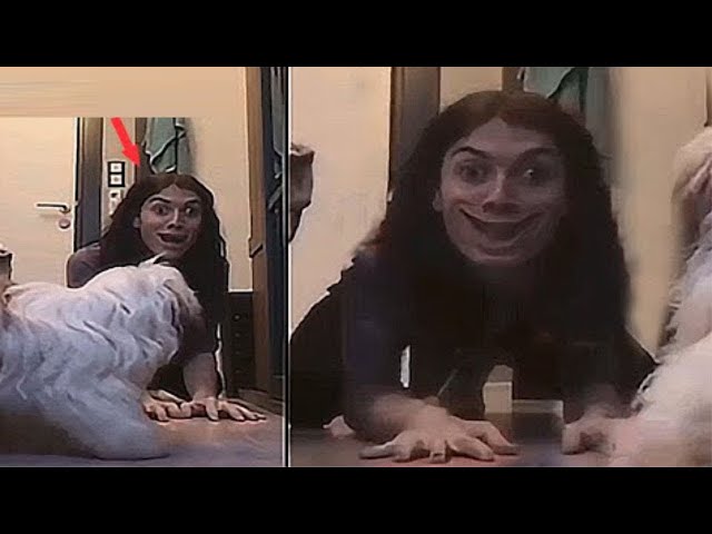 5 EXTREME HORROR Videos That Won't Let You SLEEP 2024 (VOL. 22)