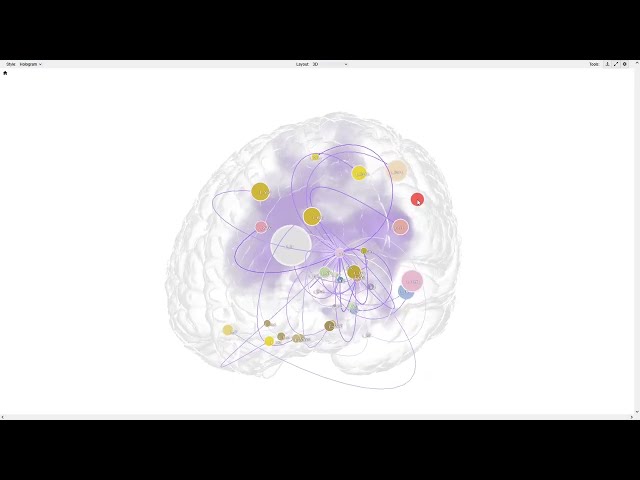 Crafting good-looking visualizations using BrainTrawler