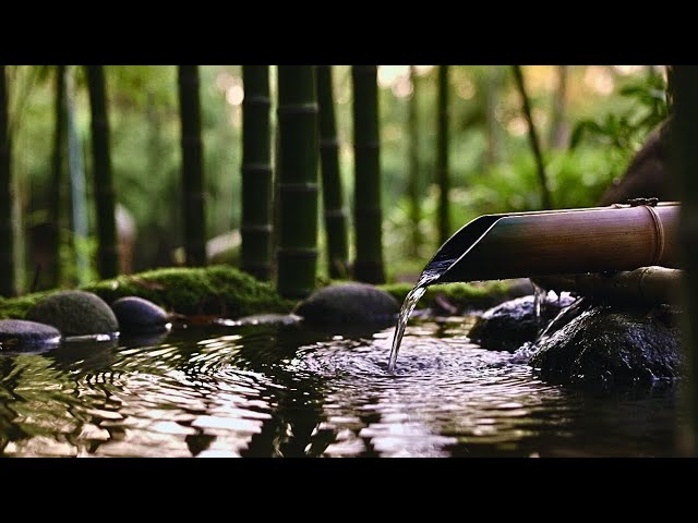 🔴 LIVE 24/7 — NO ADS Soft Calm Music 🎶 Reduce Stress • Deep Sleep Tonight