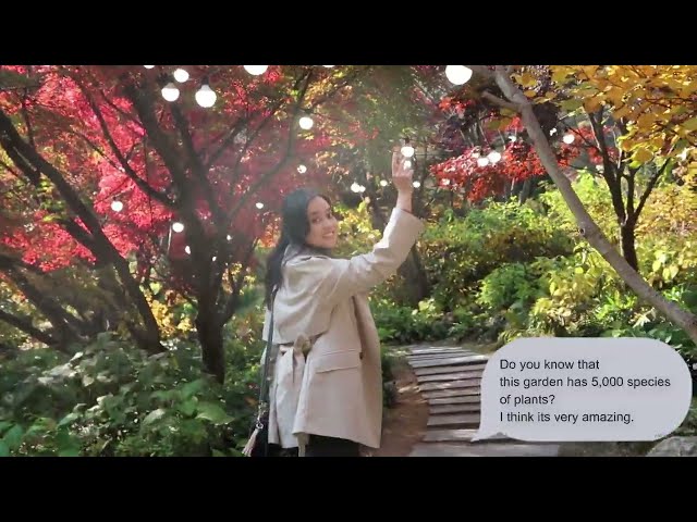 Garden of Morning Calm South Korea || Afternoon Walk during Autumn Foliage