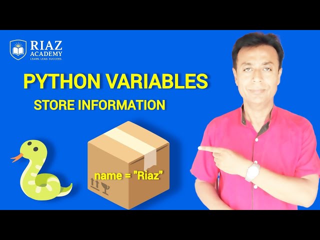 Python Variables Explained | Store Information in Your Programs | Beginners