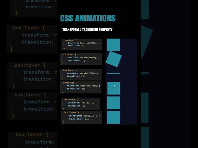 CSS Animation | Transform and Transition Properties