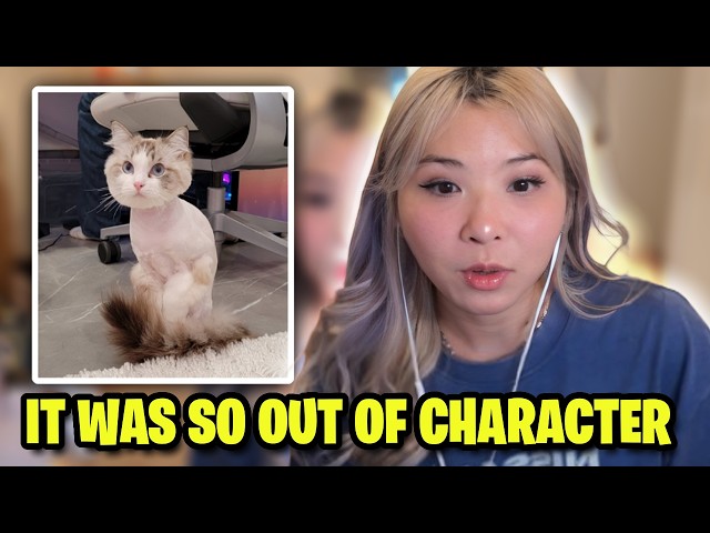 Yvonnie's Cat STOLE Food From Her