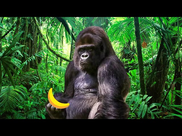 Composition over Inheritance Object Oriented Programming