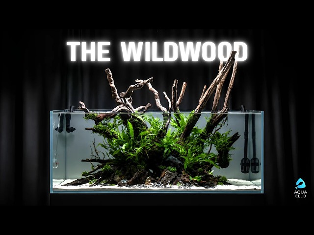 The Wildwood | Turning Driftwood Into a Living Forest