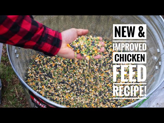 How to Make Your Own Chicken Feed & Save Money!