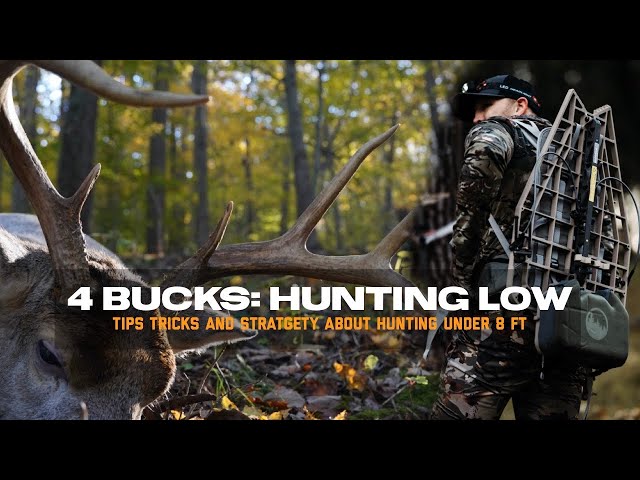 Four Bucks. All Hunting LOW.