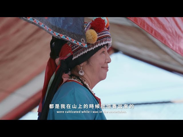 第三屆嘉義文化獎-文化貢獻獎 梁芬美老師 精華版