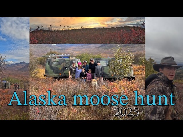 Alaskan Family of 7 Moose Hunt  #Alaskanhunting #hagglundhunting #moosehunting