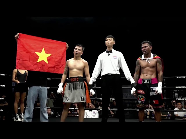 Main Card - Trigger Promotion 6 🔥