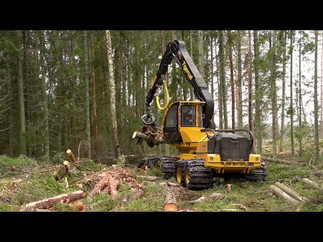 TIGERCAT 1165 TM SKOG OCH MASKIN AB
