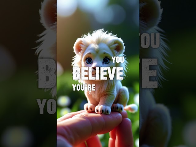 Never settle for a life ! #morninghabitsforsuccess #lifeadvice #transformyourlifetoday #lifelessons