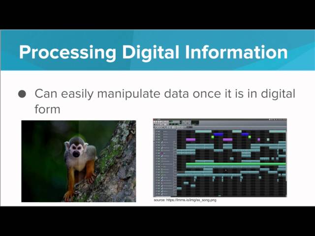 What is Digital Information