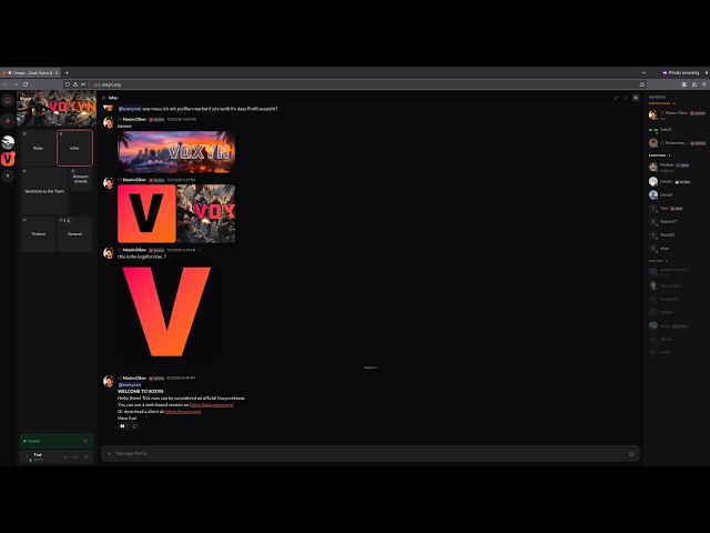 Voxyn - our Discord alternative | Q&A - First release