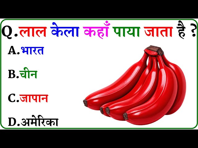 GK Question || GK In Hindi || GK Question and Answer || GK Quiz ||
