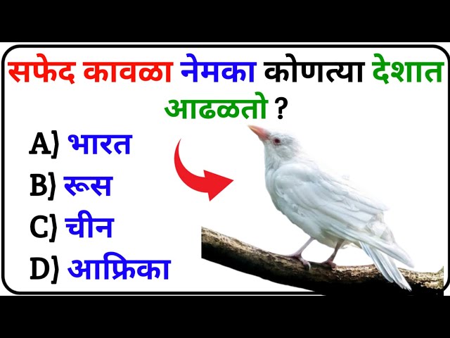 GK Questions Marathi 2025 | GK Questions Marathi | GK Question Answer Marathi | GK Quiz Marathi | GK
