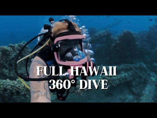 360 Dive in Hawai'i-Sharks, Sea Turtles, & Eagle Rays Underwater