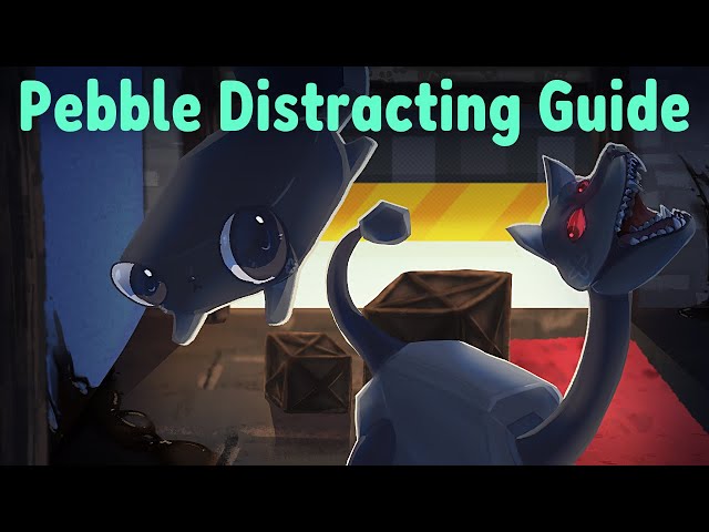 THE ULTIMATE PEBBLE DISTRACTING GUIDE