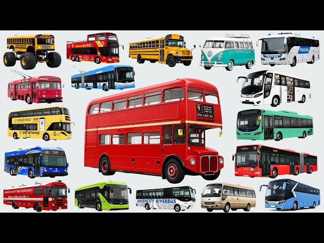Autobús urbano, autobús escolar, autobús de dos pisos | Nombres de autobuses para niños | Aprende...