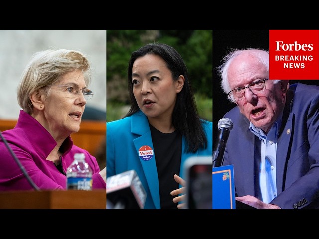 Some Progressives Avoid Francesca Hong Amid Turbulent Primary Season: ‘I Don’t Know Her’
