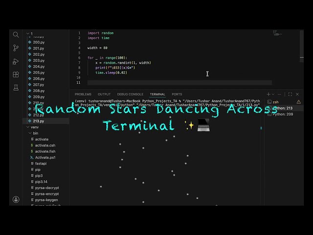 Random Stars Dancing Across the Terminal ✨💻 #coding #python  #terminal #tech