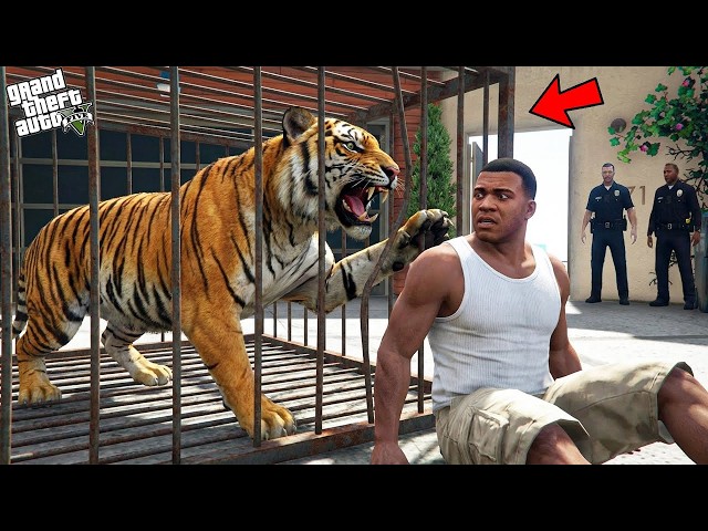 GTA V LIVE #shortsfeed #shortlive #gta5 #shorts #livestream