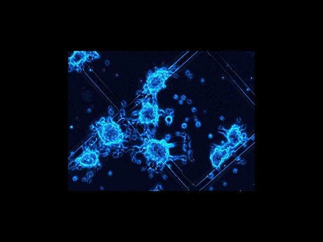 Why Basic Science Matters