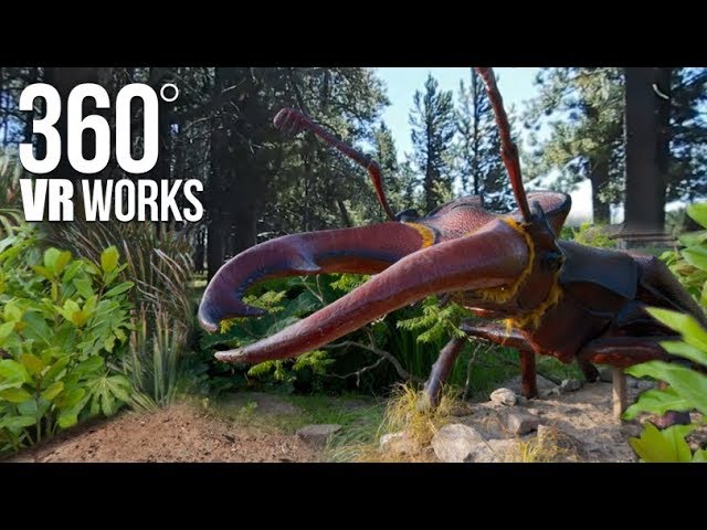 Bugzillas - 360 VR Video