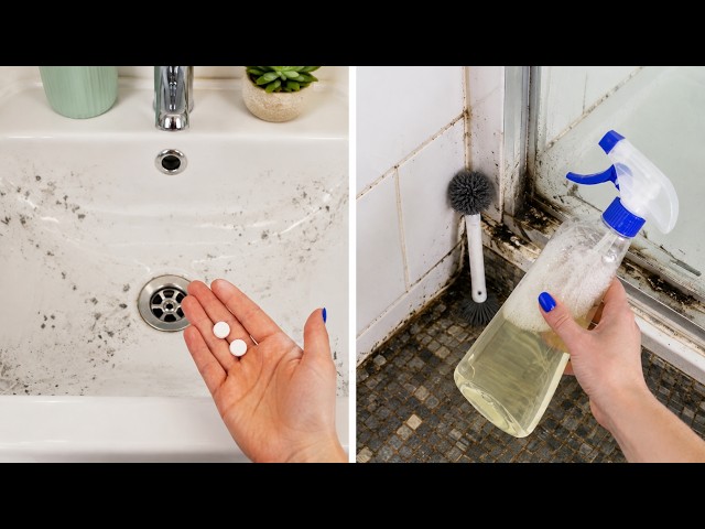 None of These Belong in a Bathroom… Yet I Use All 6