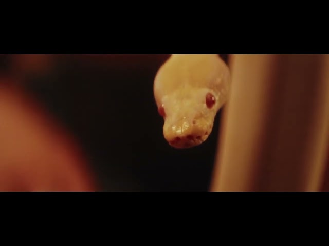 The Hidden 'Cultural Debt' That's Killing Your Python Progress