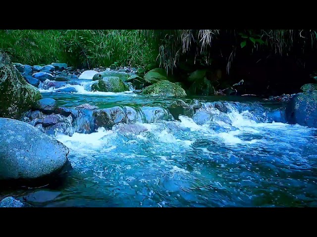 Riverbank Whispering Waters Sleep Sounds for Stress Relief & Deep Restful Sleep