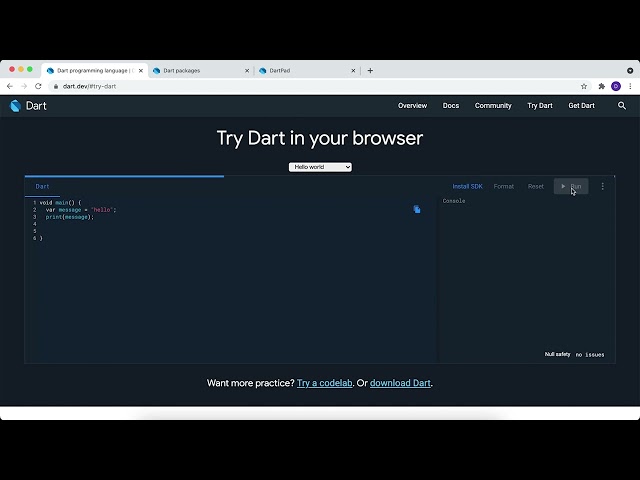 2) Dart Programming: Expressions & Variables