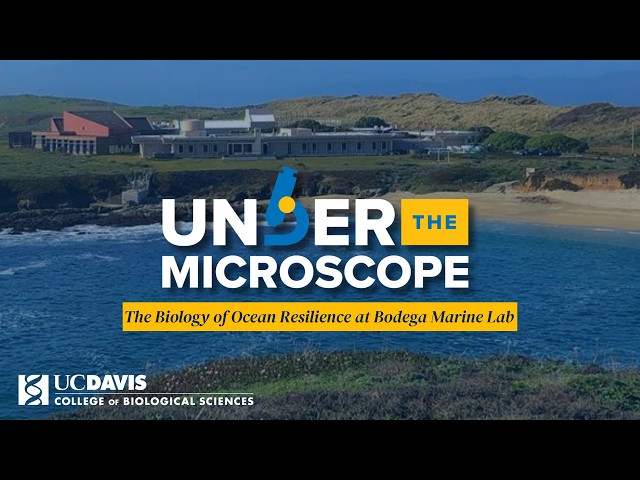 Under the Microscope: The Biology of Ocean Resilience at the Bodega Marine Lab