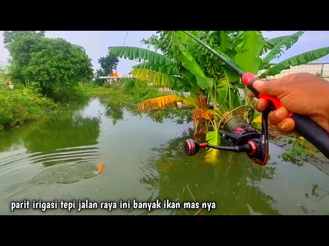 Are all the goldfish as cute as yesterday this time..!!?