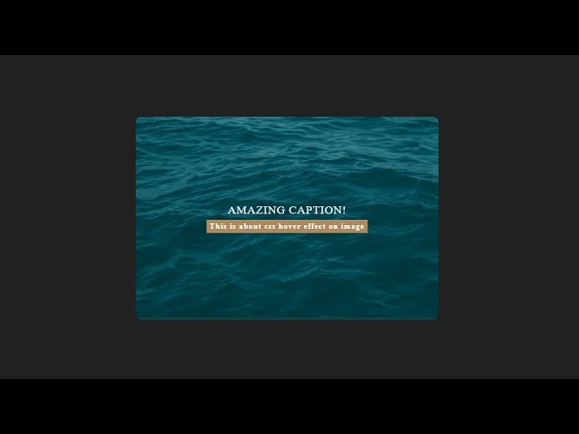 Fast & Smooth CSS Image Hover Animations — Real Projects
