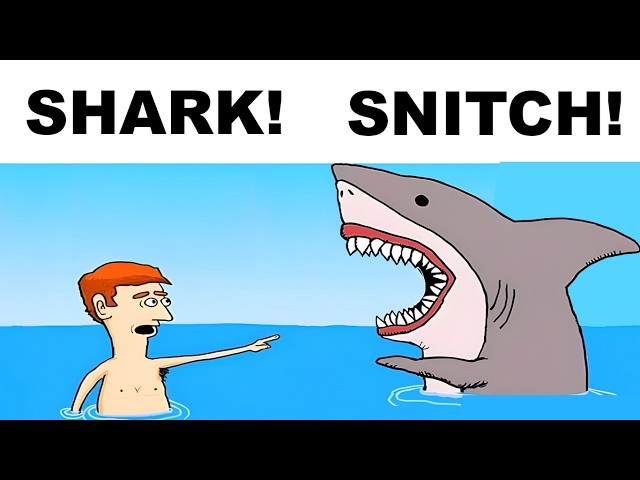 Cartoon Memes