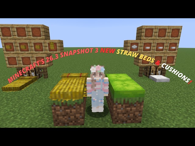 Minecraft's 26.3 Snapshot 3 New Straw beds & Cushions!