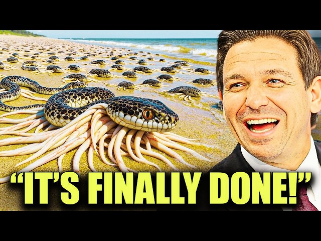 Everyone Laughed At Florida For Releasing THOUSANDS Of Snake-Killing Creatures, Truth Will STUN