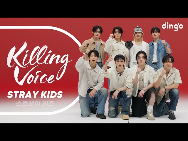 Stray Kids(스트레이 키즈)의 킬링보이스를 라이브로! - 神메뉴, MANIAC, 소리꾼, MIROH, 미친 놈, 특, CEREMONY  | 딩고뮤직 | Dingo Music
