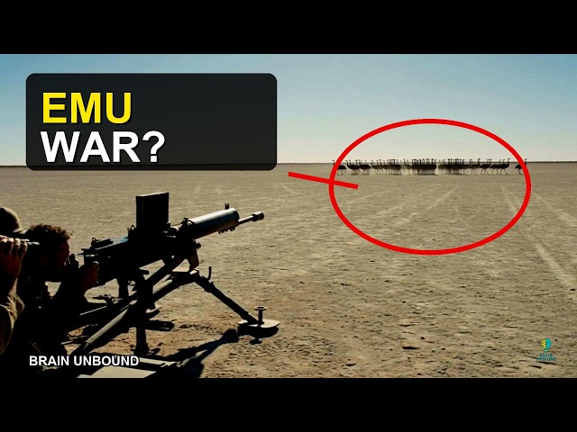 The Great Emu War: When Ecology Beat Machine Guns | Brain Unbound