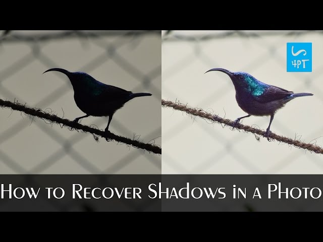 How to Recover Shadows in a Photo, Photography Post Processing Photoshop Tutorial