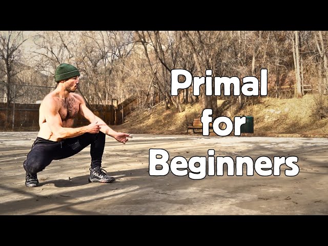 Full Body Primal Movement | 25 Min Beginner Workout