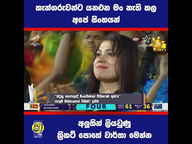 වාර්තා අලුත් කල සිංහයෝ 😎🏏